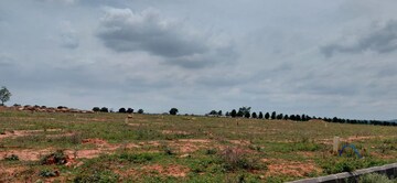 Plot Area in  Plot at SR Rock Town, Mazidpur – for Sale