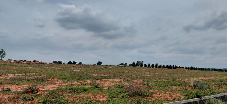 undefined, sr-rock-town  200 Sq.Yd. Plot In Mazidpur Hyderabad 8833125