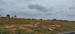 Plot Area in  Plot at SR Rock Town, Mazidpur – for Sale