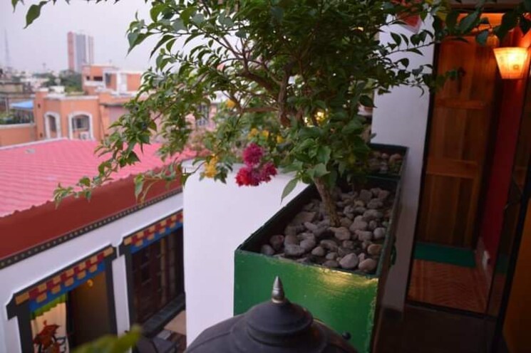 Balcony, rabindra sarovar 6+ Bedroom 8000 Sq.Ft. Apartment In Rabindra Sarovar Kolkata 8833127