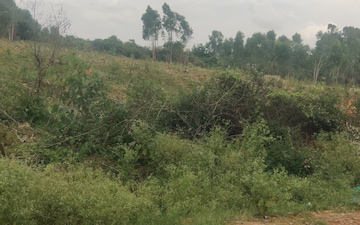 Plot For Sale in Nagondanhalli