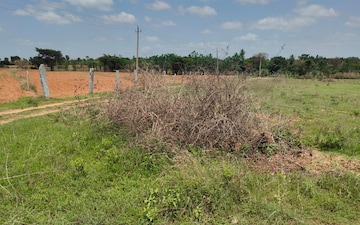Plot For Sale in Whitefield