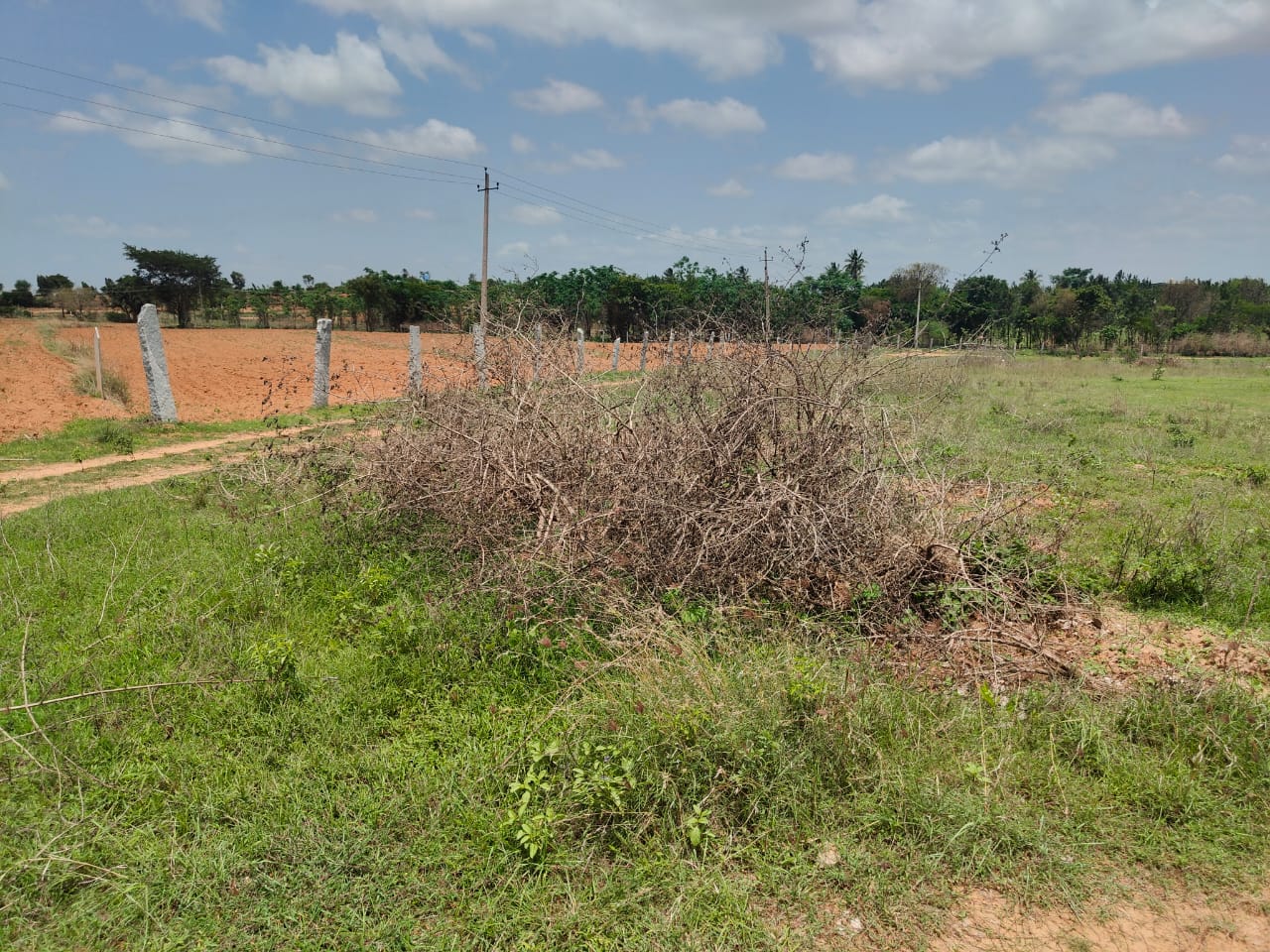 Plot For Sale in Whitefield