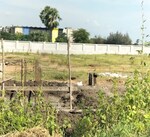 675 Sq.Yd. Land in Victoria Plam 
