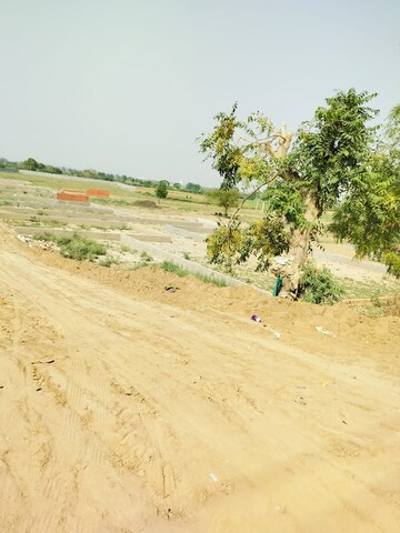 Plot Area in  Plot at Chawla Colony Ballabgarh – for Sale