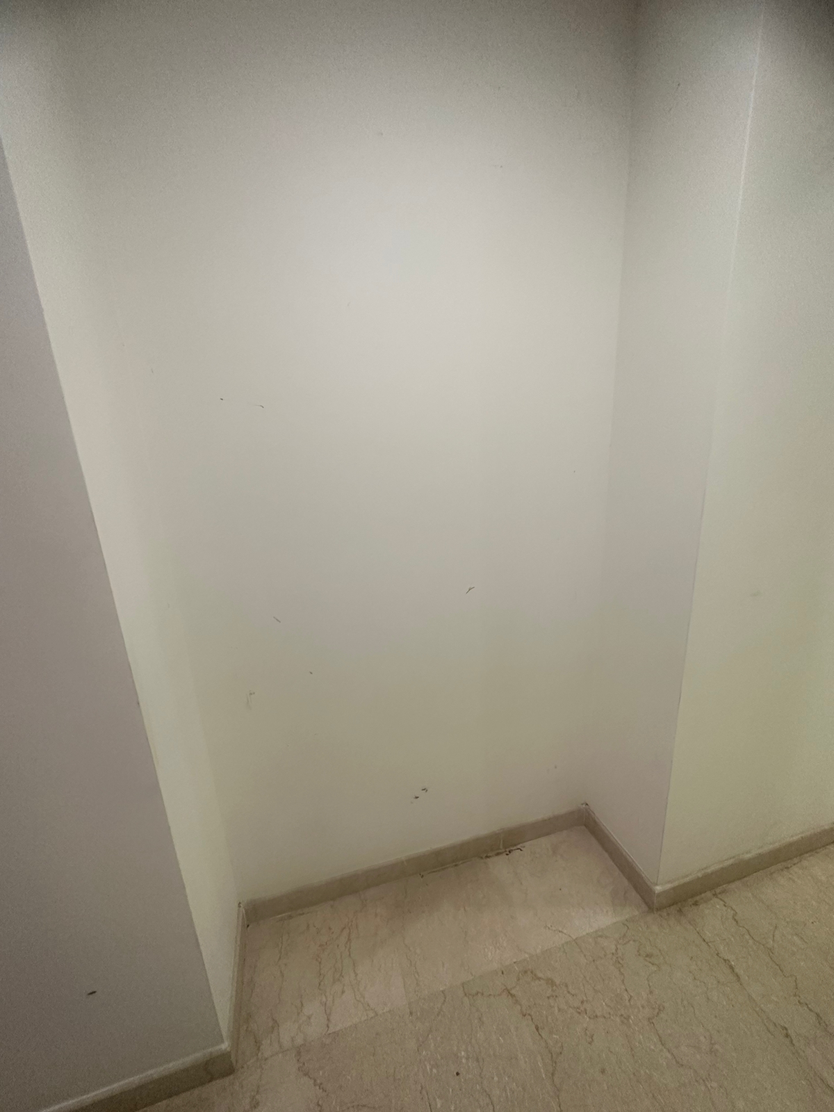 2 BHK + Servant Room Apartment For Rent in Shree Mangesh