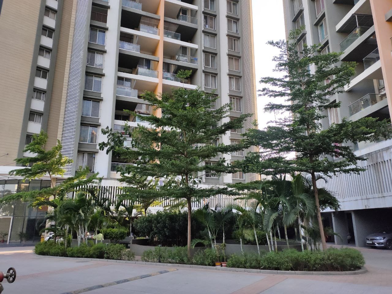 2 BHK Apartment For Rent in Rama Melange Residences P
