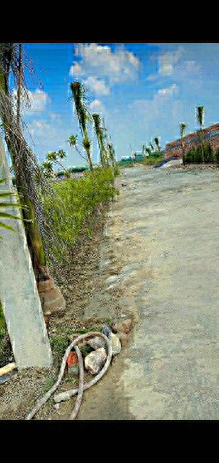 Exterior View, sai-kutir-sector-49  48 Sq.Yd. Plot In Sector 49 Noida 8833777