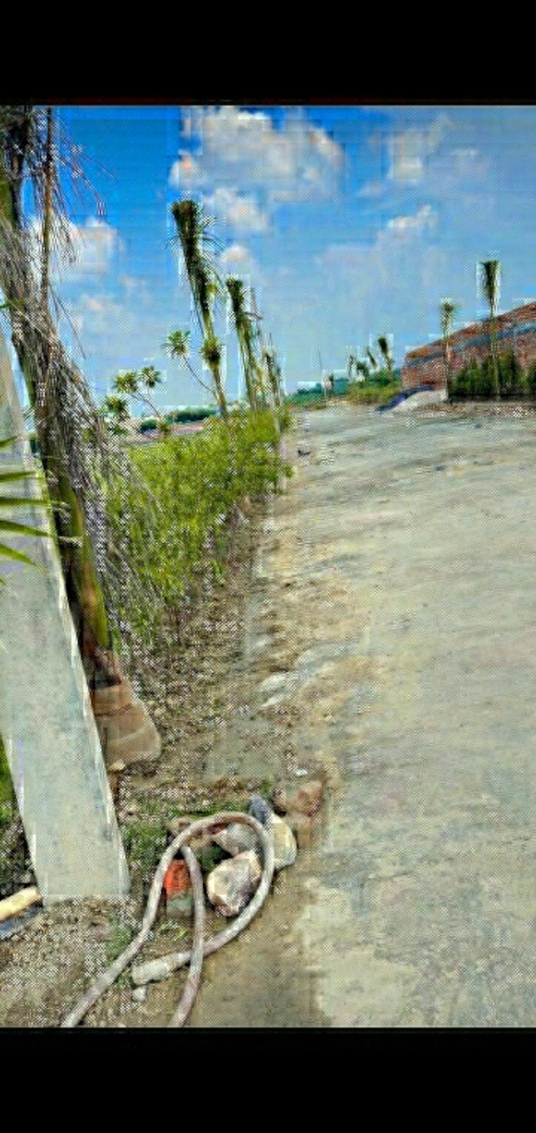 Exterior View, sai-kutir-sector-49  48 Sq.Yd. Plot In Sector 49 Noida 8833777