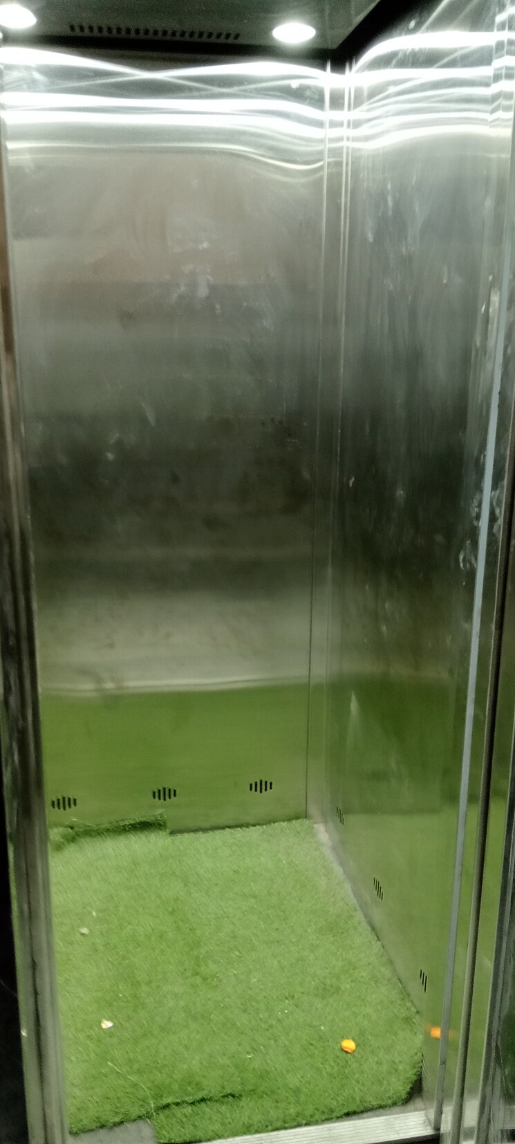 Bathroom, govindpuri 2 Bedroom 590 Sq.Ft. Builder Floor In Govindpuri Delhi 8833791