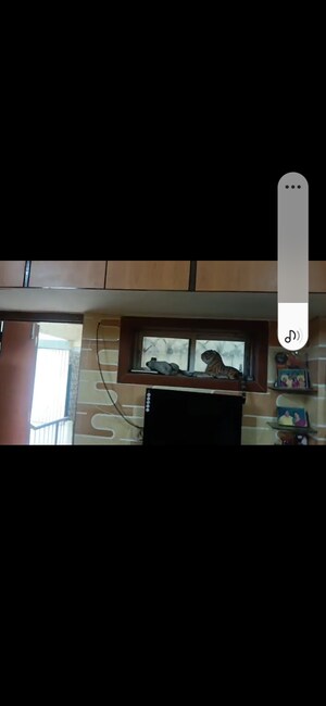 Kitchen in 1 BHK Apartment at Sahaydri Nagari Nivara CHS, Goregaon East – for Sale