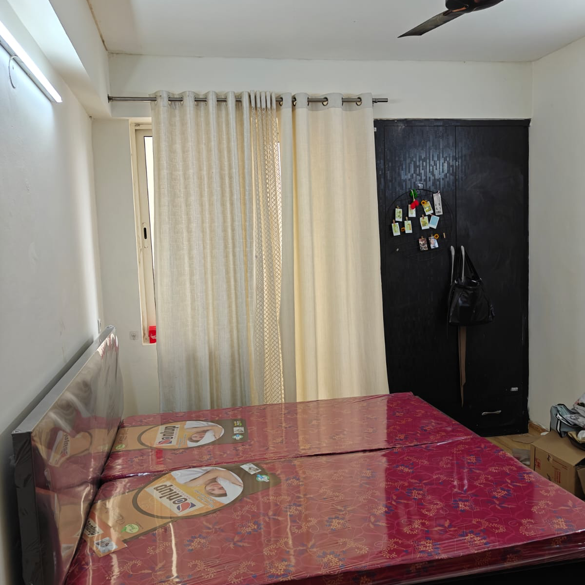 3 BHK Apartment For Rent in Jaypee Greens Kosmos