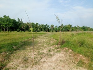 Plot Area in  Plot at Kalikapur Rajpur Sonarpur – for Sale