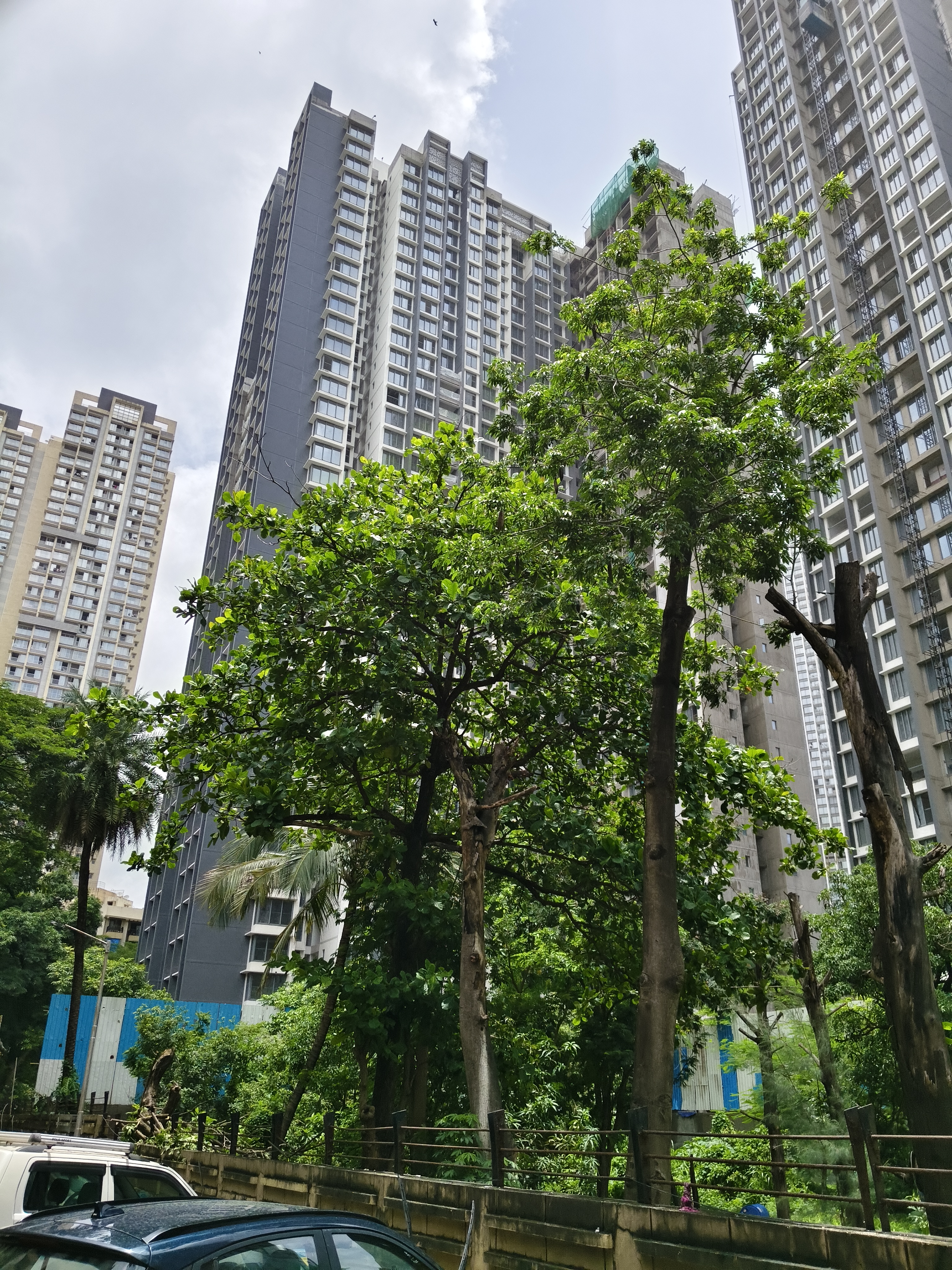 2 BHK Apartment For Sale in Raymond Thane 