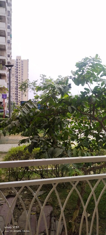 3 BHK Apartment For Rent in Mahagun Mywoods, Sector 16c Greater Noida