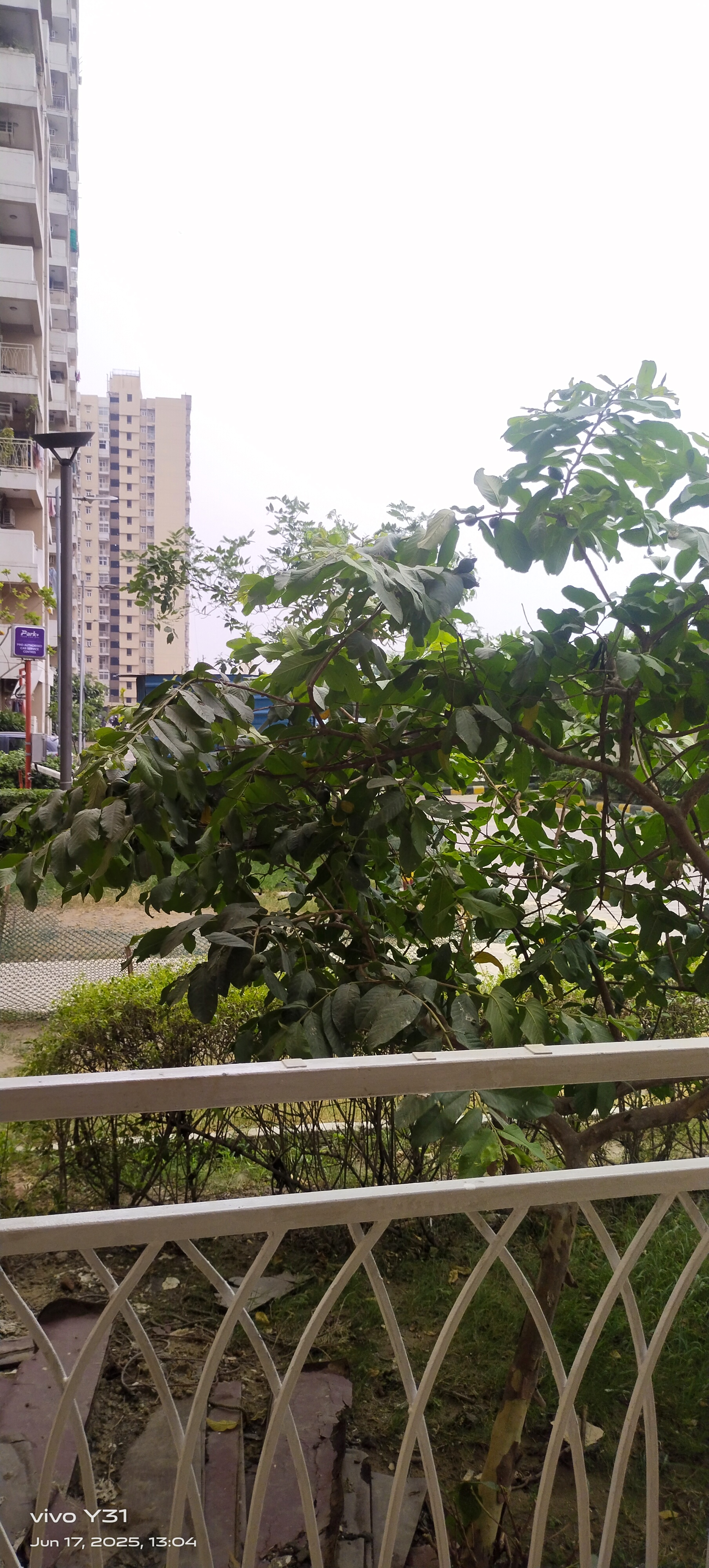 3 BHK Apartment For Rent in Mahagun Mywoods