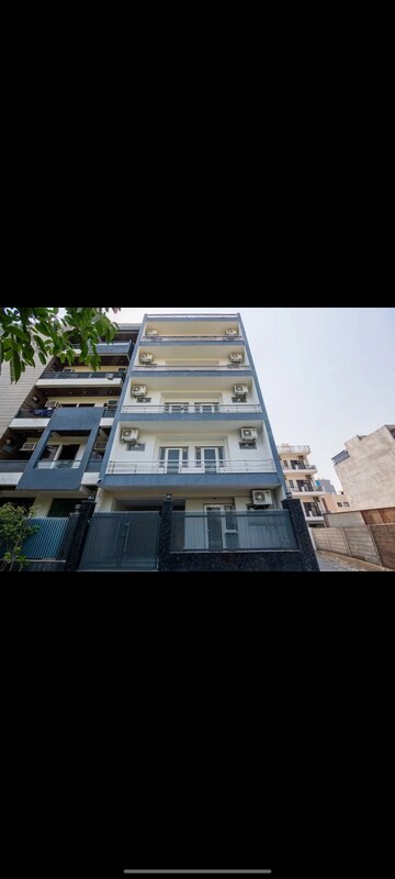  Pg For Rent in Sector 38
