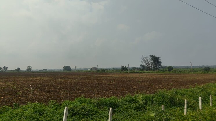 undefined, chevalla Commercial Land 2 Acre In Chevalla Hyderabad 8834264