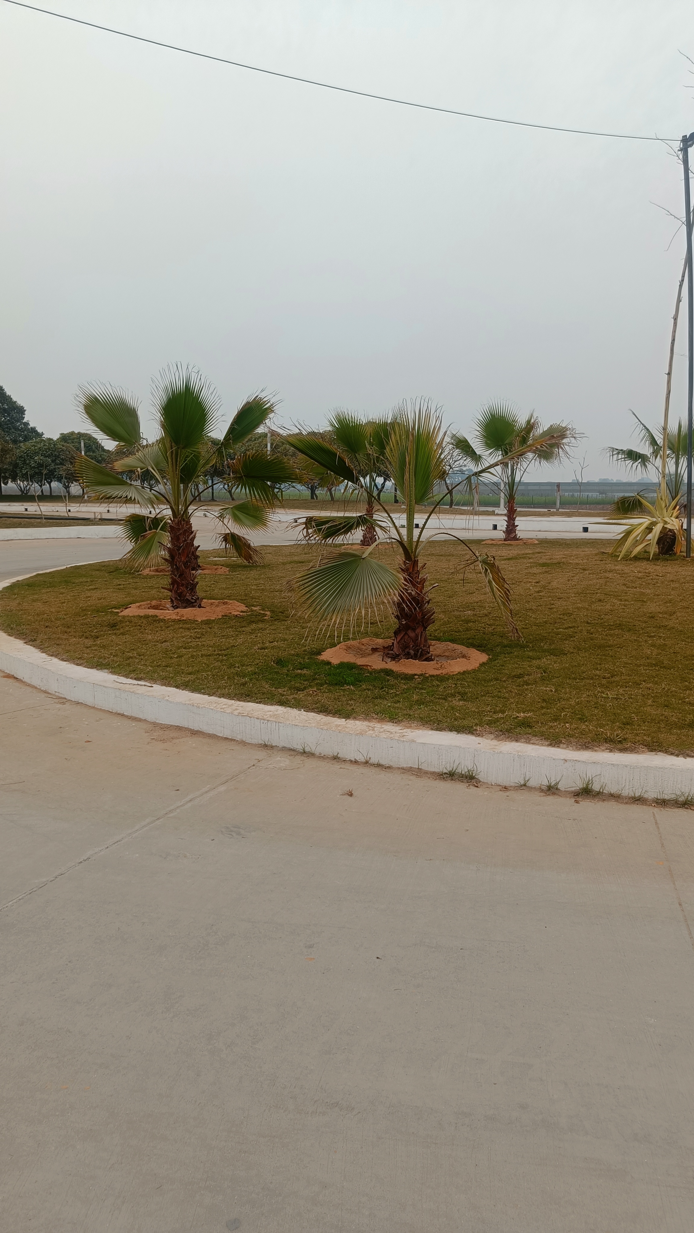 Plot For Sale in Signature Global City of Colours