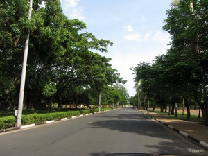  Plot For Sale in Ringnodiya