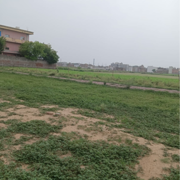  Plot For Sale in Sector 56