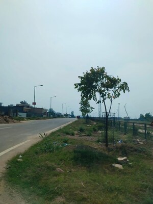  Plot For Sale in Sector 80