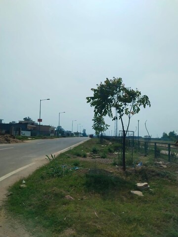  Plot For Sale in Sector 80