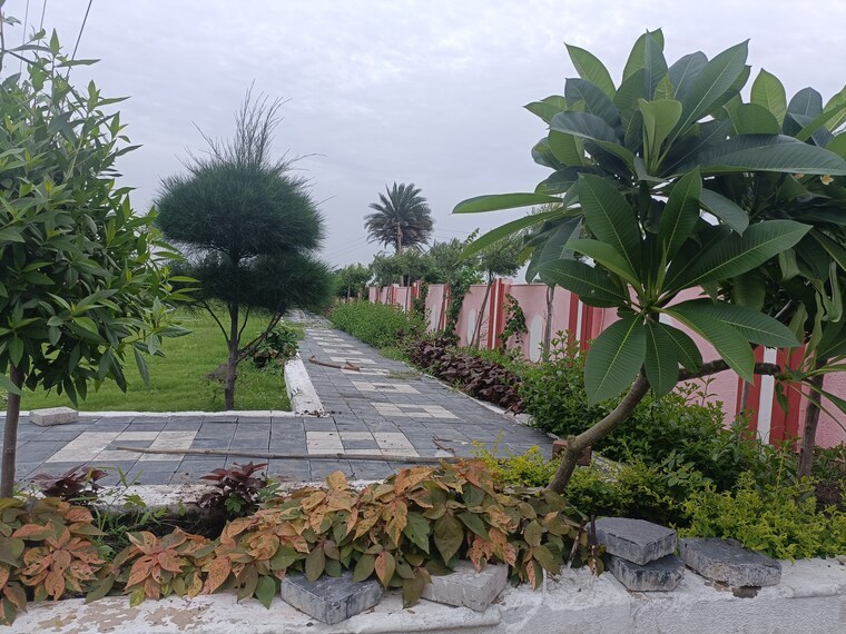 Exterior View, ringnodiya  1050 Sq.Ft. Plot In Ringnodiya Indore 8834670