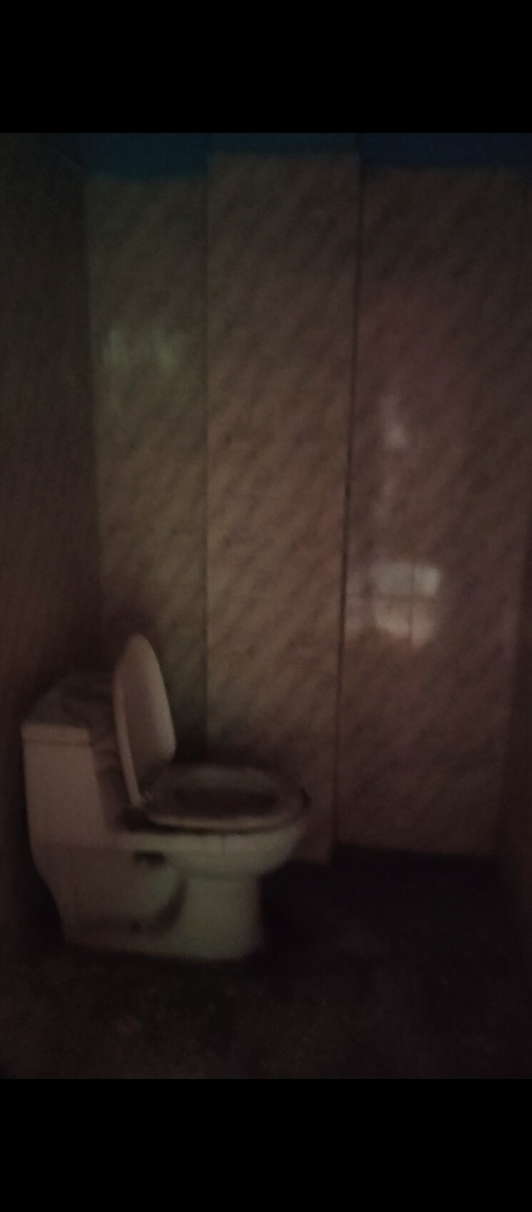 Bathroom, sector 121 2.5 Bedroom 900 Sq.Ft. Builder Floor In Sector 121 Noida 8834747