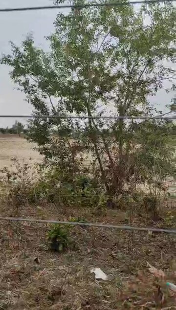Plot Area in  Land at Ramnagar – for Sale