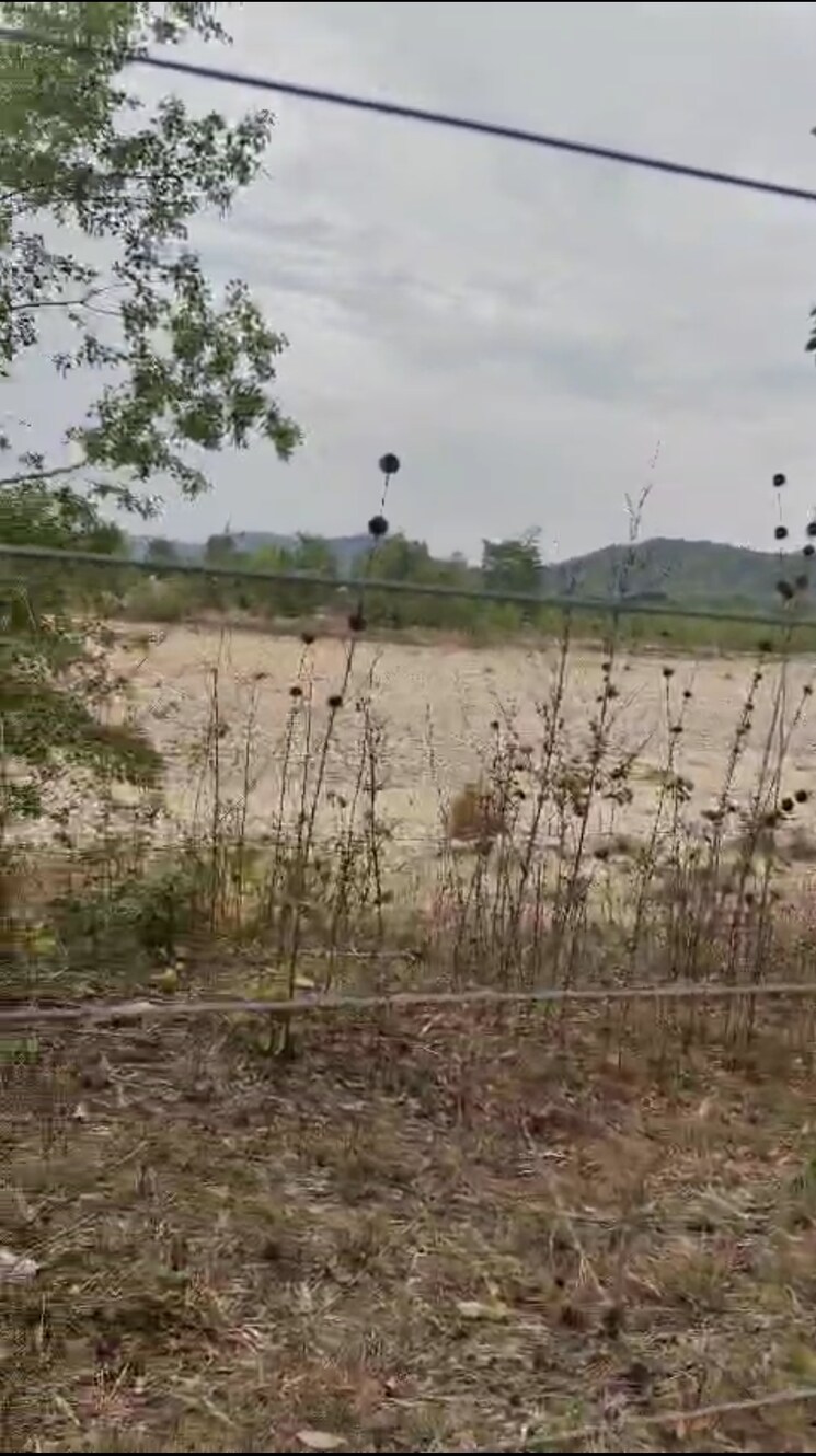 undefined, ramnagar Commercial Land 6808 Sq.Ft. In Ramnagar Nainital 8835046