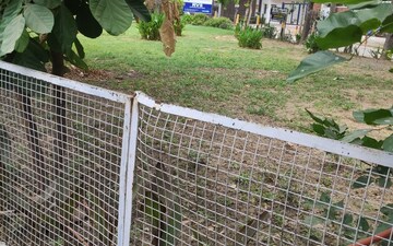 Plot For Sale in Sector 52