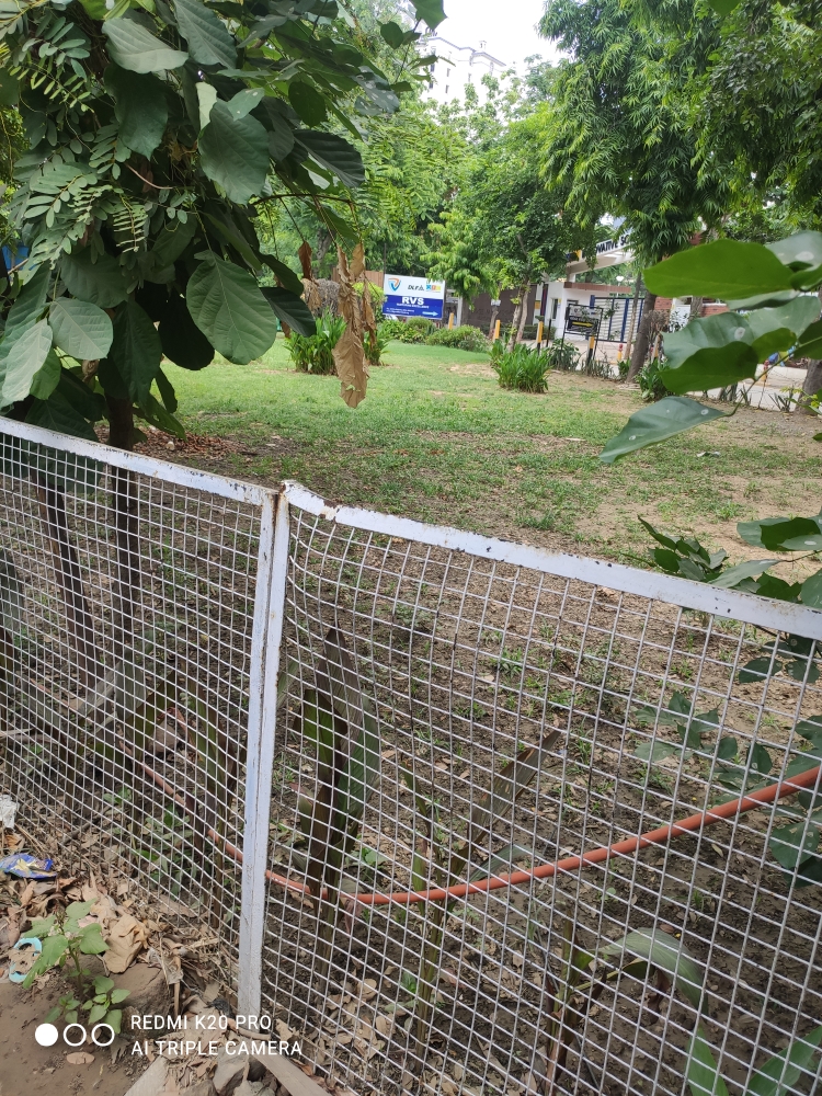 Plot For Sale in Sector 52