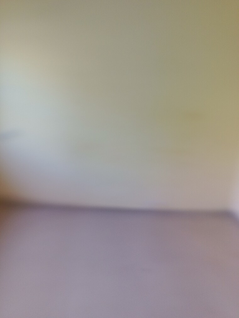 Room, divya-yashwant-park 1 Bedroom 585 Sq.Ft. Apartment In Nalasopara East Palghar 8835120