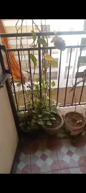 Gym in 2 BHK Apartment at LandCraft River Heights, Raj Nagar Extension – for Sale