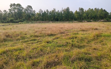 Land For Sale in Tarapur