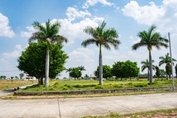  Plot – Garden View at Ab Bypass Road - for Sale