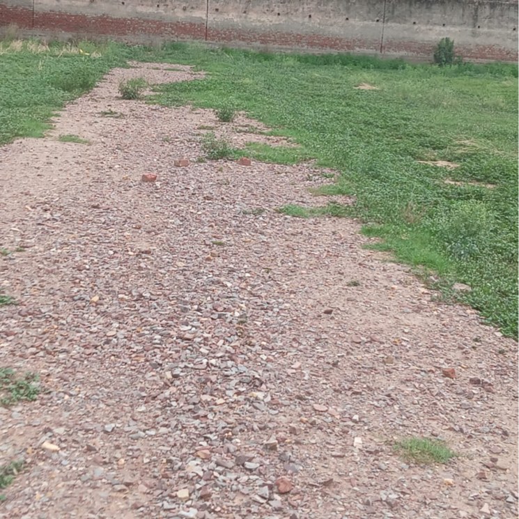 undefined, sector 56  81 Sq.Yd. Plot In Sector 56 Faridabad 8835316