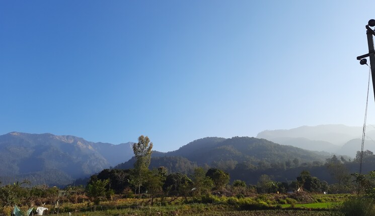 undefined, kotabagh  250 Sq.Yd. Plot In Kotabagh Nainital 8835399