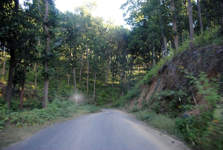 undefined, kotabagh  250 Sq.Yd. Plot In Kotabagh Nainital 8835399