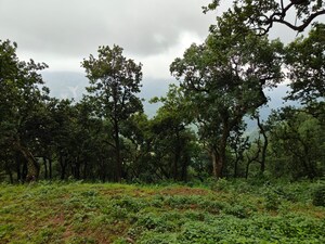 Plot Area in  Plot at Kotabagh – for Sale