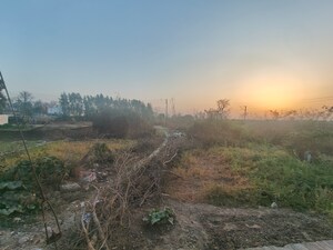 Plot Area in  Plot at Kotabagh – for Sale