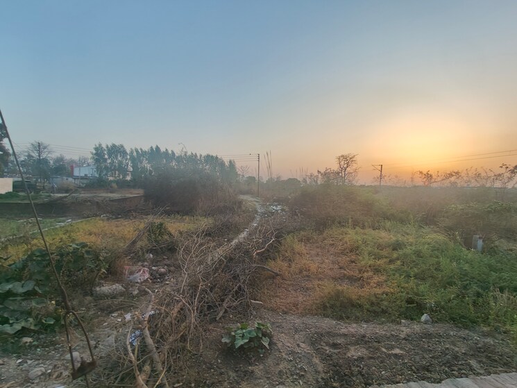 undefined, kotabagh  250 Sq.Yd. Plot In Kotabagh Nainital 8835399