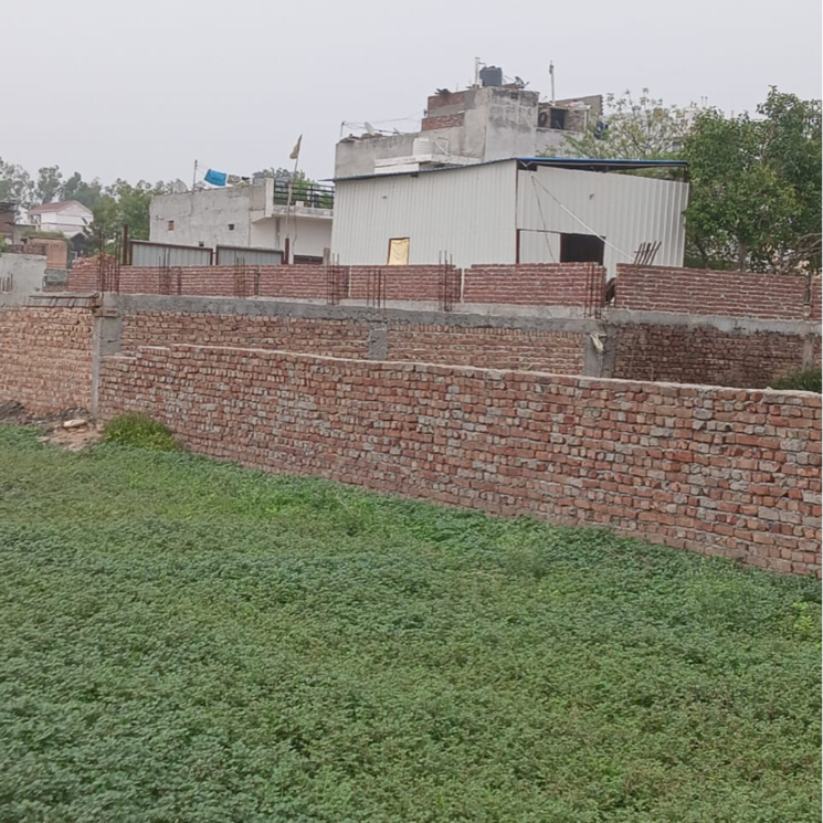 undefined, sector 56  83 Sq.Yd. Plot In Sector 56 Faridabad 8835353