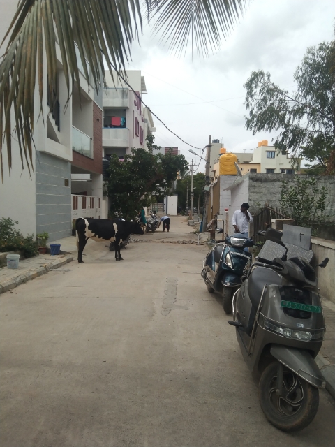 Plot For Sale in Obel Shanthi