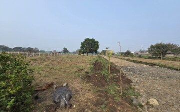 Plot For Sale in Ujjain Road