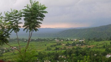  Plot For Sale in Kotabagh