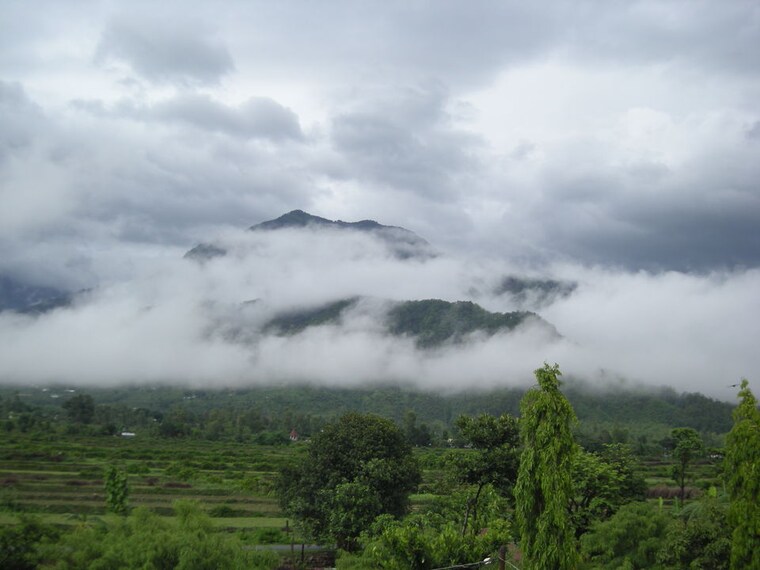 undefined, kotabagh  250 Sq.Yd. Plot In Kotabagh Nainital 8835801