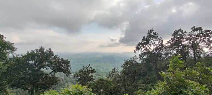 undefined, kotabagh  250 Sq.Yd. Plot In Kotabagh Nainital 8835801