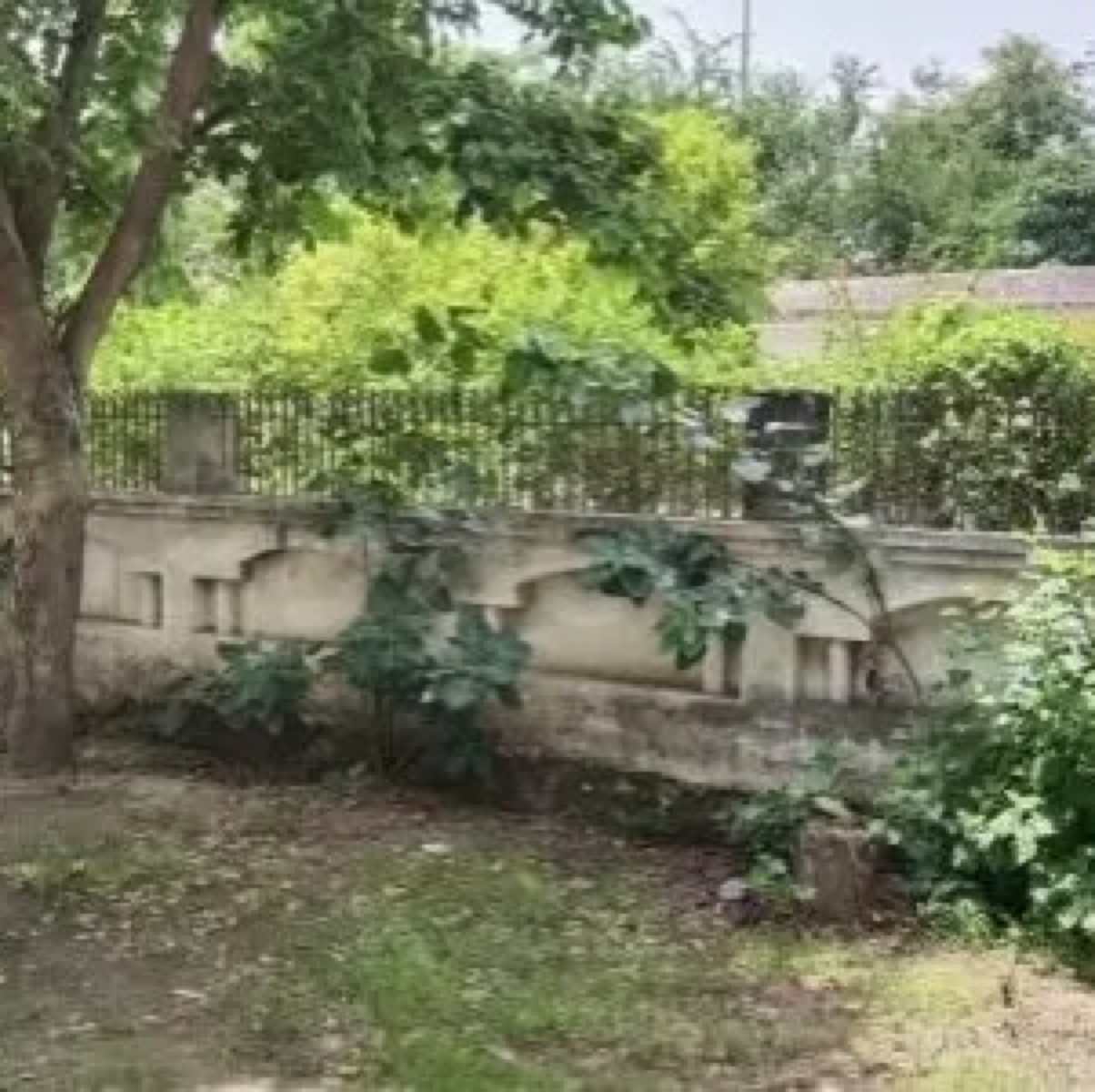 Plot For Sale in Silver Oak Society